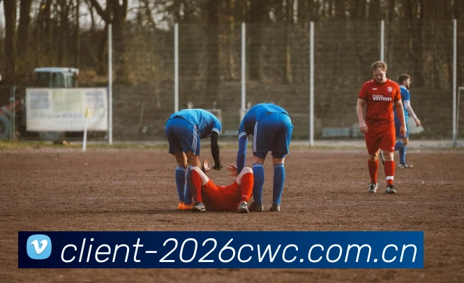 2026世界杯官方数据服务